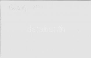 1970 Szeged és Mártély, Árvíz - 9 db modern fotó / 9 modern photos of the flood (non PC)