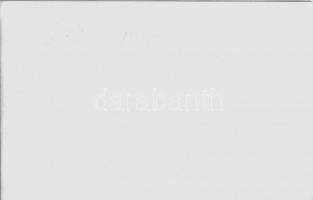 1970 Szeged és Mártély, Árvíz - 9 db modern fotó / 9 modern photos of the flood (non PC)