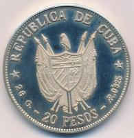 Kuba 1977. 20P Ag "Ignacio Agramonte" T:PP
Cuba 1977. 20 Pesos Ag "Ignacio Agramonte...