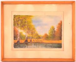 Neogrády jelzéssel: Nyárfa sor. Akvarell, papír, üvegezett keretben, 23×34 cm