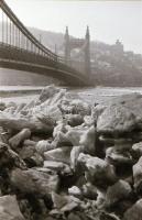 cca 1941 Budapest, az Erzsébet híd télen, ködben, jégzajlás idején, 20 db vintage negatív Danassy Ká...