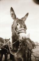 cca 1970 és 1984 között készült felvételek KECSKEMÉTEN, helytörténeti szempontból, dokumentum értékű...