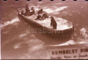 cca 1976 és 1982 között készült felvételek Budapesten, többségében a X. kerületi, KŐBÁNYAI városrész...