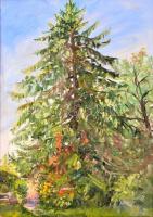 Szalkári Rózsa (1936-2017): Fenyőfa. Olaj, farost, jelzett, keretben, 50×35 cm