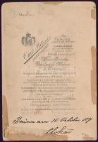 cca 1881 Brünn/Brno, osztrák-magyar katonatiszt portréja, Carl Pietzner műterméből, keményhátú fotó,...