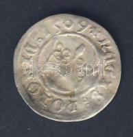 Lengyelország 1509. 1/2Gr Ag I.Zsigmond T:3