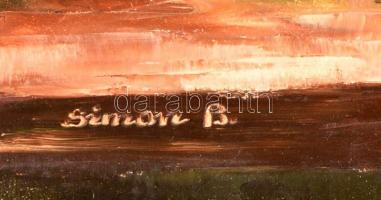 Simon Béla (1957-): Őszirózsák. Olaj, farost, jelzett, keretben, 60×45