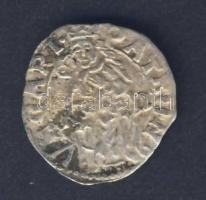 II.Ulászló 1490-1516. Denár Ag ÉH644a T:3