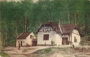 1919 Rohonc, Rohunac, Rechnitz; Erzsike lak, létra. Kiadja Stelczer Adolf / villa, ladder (EK)
