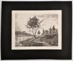 Gross Arnold (1929-2015): Bodrogpart. Rézkarc, papír, paszpartuban, jelzett, 24×30 cm