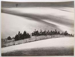 cca 1976 Gebhardt György (1910-1993) budapesti fotóművész hagyatékából 2 db feliratozott, vintage fo...