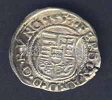 1553. Denár Ag I.Ferdinánd T:3+/3