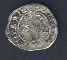 1553. Denár Ag I.Ferdinánd T:3+/3