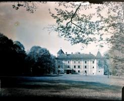 1917 Tata, gr. Esterházy kastélyról és parkjáról készült felvétlek, Kerny István (1879-1963) budapes...