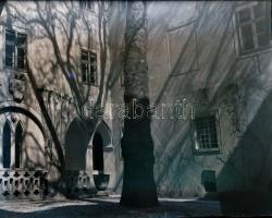 1917 Tata, gr. Esterházy kastélyról és parkjáról készült felvétlek, Kerny István (1879-1963) budapes...