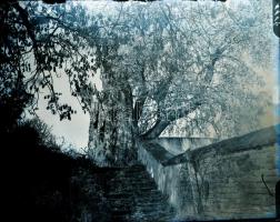 1917 Tata, gr. Esterházy kastélyról és parkjáról készült felvétlek, Kerny István (1879-1963) budapes...