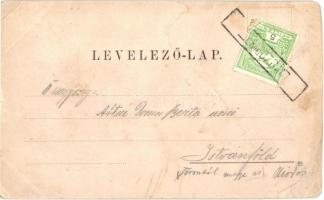 1898 Lőcse, Levoca; Körtér, piaci árusok, üzletek. Kiadja Latzin János / Ringplatz / square, market ...