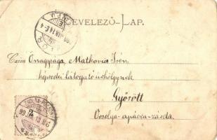 1899 Trencsén, Trencín; látkép, vár. Kiadja Gansel Lipót / Trenciansky hrad / general view, castle (...