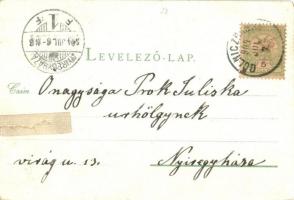 1904 Thurzófüred, Kúpele Turzov (Gölnicbánya, Gelnica); Budapest villa, Fürdő vendéglő, étterem. Kia...