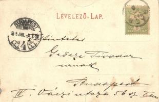 1905 Gács, Halic; Halicsky zámok / vár, várkastély. Kiadja Redlinger Ignác / castle (b)