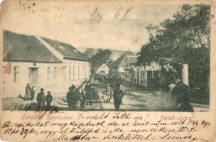 1904 Szenice, Szenicz, Senitz, Senica; Patak utca / street view (fa)