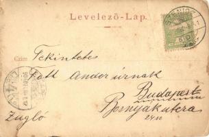 1904 Szenice, Szenicz, Senitz, Senica; Patak utca / street view (fa)