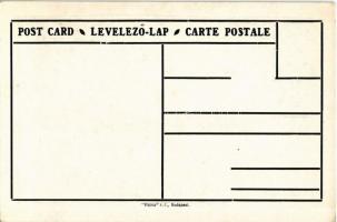 Kassa, Kosice; Magyar, tót és német nemzetiségek népesség aránya. Címer, Pátria rt. kiadása / Percen...