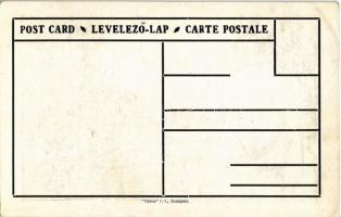 Temesvár, Timisoara; Magyar, román, szerb és német nemzetiségek népesség aránya. Címer, Pátria rt. k...