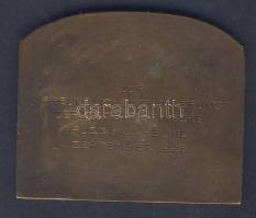 Ausztria 1925. "Arkandenhof-Wiener Rathaus-Österreichische Fussball-Band" szögletes Br pla...