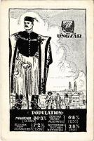 Ungvár, Uzshorod, Uzhorod; Magyar, tót, rutén és német nemzetiségek népesség aránya. Címer, Pátria rt. kiadása / Percentage of Hungarian, Slovakian, Ruthenian (Rusyns) and German population. Irredenta art postcad with coat of arms s: Pólya T. (EK)