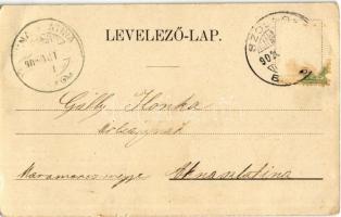 1902 Szolnok, Hungária gőzmalom a Tisza parton, Alexander J. gyógyszertára a hírneves "Ilona&qu...