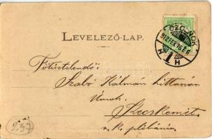 1912 Szolnok, Részlet a szolnoki csata színteréről, Damjanich, 1849-es emlékoszlop; virágos képeslap...