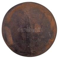 Osváth Mária (1921-1998) 1975. "Einstein 1879-1955" egyoldalas Br plakett (137mm/436,4g) T...