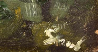 Szekeres-Ugron Villő (1992-): Romantikus tájkép. Olaj, karton, jelzett. 49x70 cm. Fa kerettel