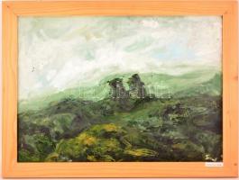 Szekeres-Ugron Villő (1992-): Romantikus tájkép. Olaj, karton, jelzett. 49x70 cm. Fa kerettel