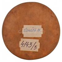 Osváth Mária (1921-1998) 1986. "KISS MANYIKA SZÍNMŰVÉSZ" egyoldalas Br plakett (93mm/270,6...