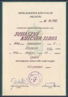 1971-1993 3 db bizonyítvány: adótanácsadói oklevél, ipari mérlegképes könyvelői oklevél, szakközépis...