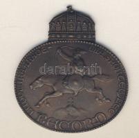 DN "Ludovika Akadémia Sportegyesülete-Record" régi ovális Br plakett. Szign:Székely T:2