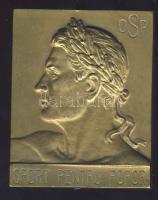 Románia DN "Sport Pentru Popor-OSP" régi Br felcsavarozható plakett T:2