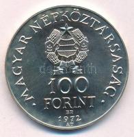 1972. 100Ft Ag "Budapest" T:BU 
Adamo EM40