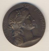 Franciaország DN cca 1900-as évek eleje "Francia Hadügyminisztérium Lövészdíja" Br plakett T:2