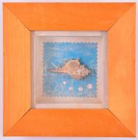 Kis kagyló, üvegezett fa keretben, 16,5×16,5 cm