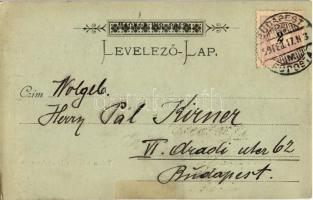 1899 Budapest I. Tabán és Gellért-hegy. D. Halberstadt kiadása (EK)