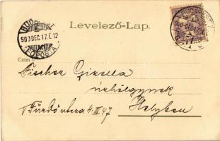 1900 Budapest XIV. Városliget, korcsolyázók a jégpályán. Kunstanstalt Kosmos S. IX. Kiadja Vidéki Fé...