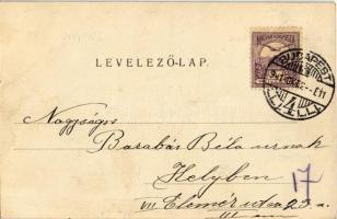 1901 Budapest XIV. Műcsarnok. Divald Károly 51