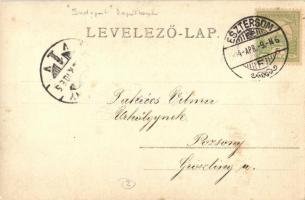 1904 Esztergom, Bazilika, "Budapest" oldalkerekes személyszállító gőzhajó. Kiadja Stromf I...