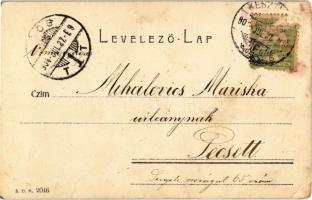 1904 Keszthely, Balaton szálló (EK)