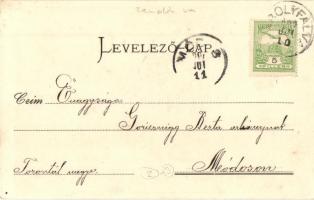 1901 Károlyfalva (Sátoraljaújhely), Fő tér, piaci árusok, szamár