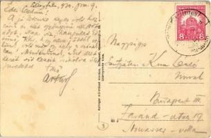 Leányfalu, Keczéry Róth István vendéglős kerthelyisége, étterem, zenészek