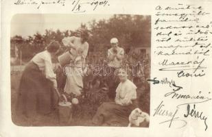 1904 Máriapuszta (Tata, Tata-Tóváros); szüretre összegyűlt família a kertben, növények öntözése, kutya. photo